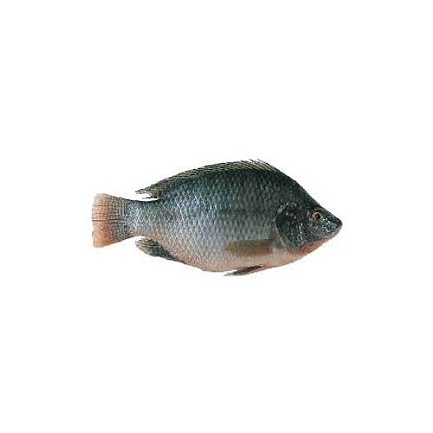 Item